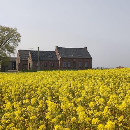 Spacious Holiday Home With Pond In Poperinge Roesbrugge-Haringe Eksteriør billede