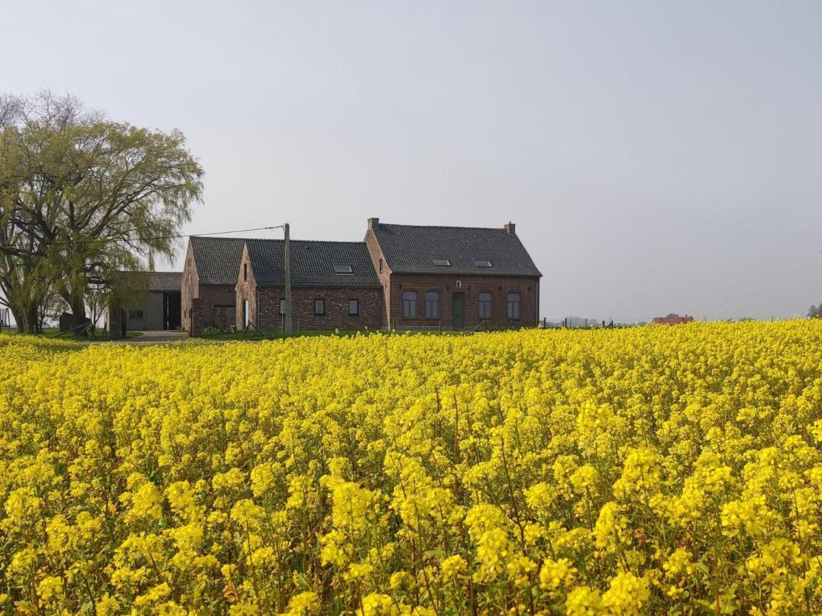 Spacious Holiday Home With Pond In Poperinge Roesbrugge-Haringe Eksteriør billede